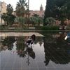 elena_hmy